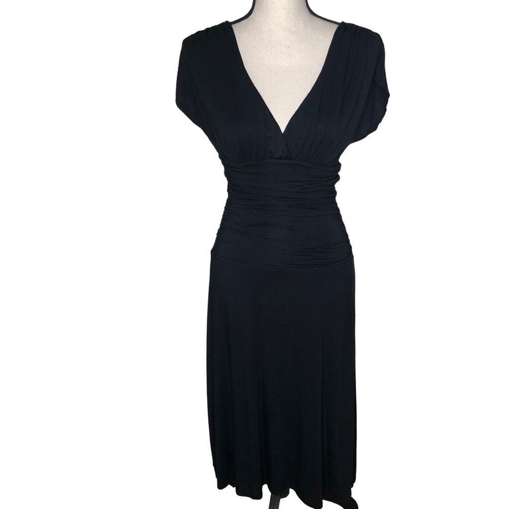 Velvet By Graham & Spencer Black Ruched Waist Fit and Flare Dress